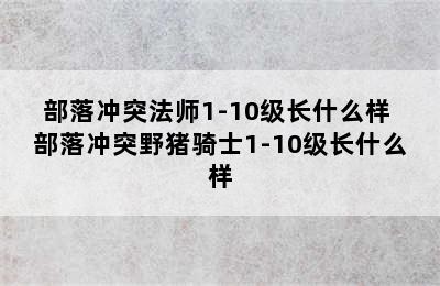 部落冲突法师1-10级长什么样 部落冲突野猪骑士1-10级长什么样